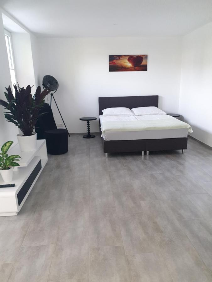 Business Apartment Turgi Exterior photo